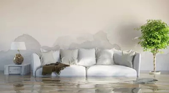 5 reasons to hire a water damage restoration professional