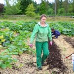 Growing Cover Crops to Protect and Rejuvenate the Garden