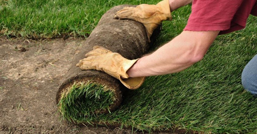 How to Install Sod in Your Yard